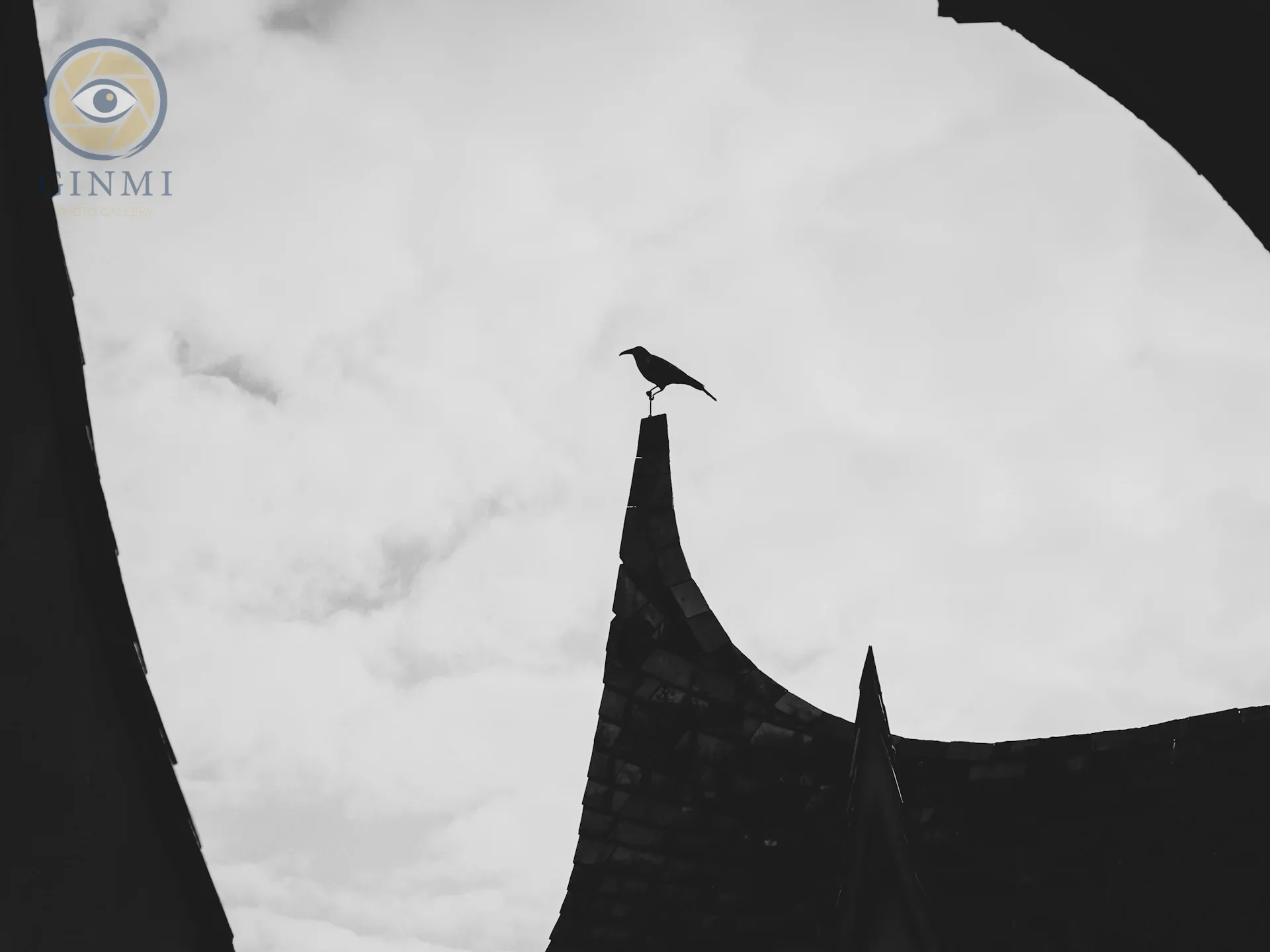 Raven