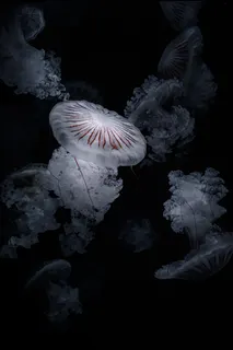 深淵の灯火