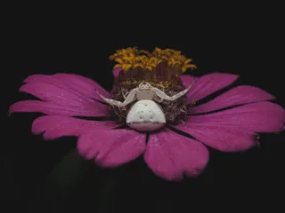 look up to the heavens 