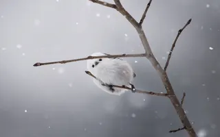 じーーーーーっ