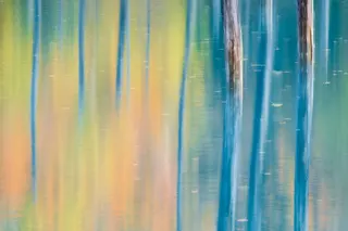 Dissolving Seasons