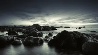 朝景 真鶴Ⅱ