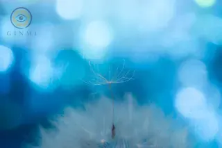 蒼風