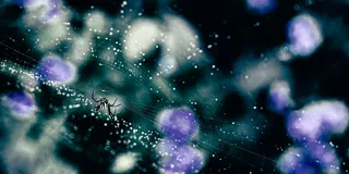 Nocturne（夜想曲）