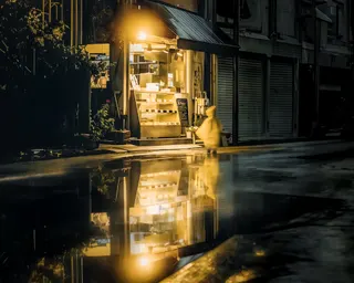 Yellow canary spirit