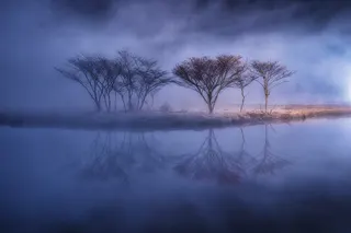 作品画像