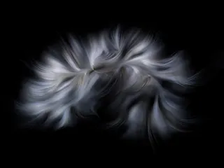 作品画像