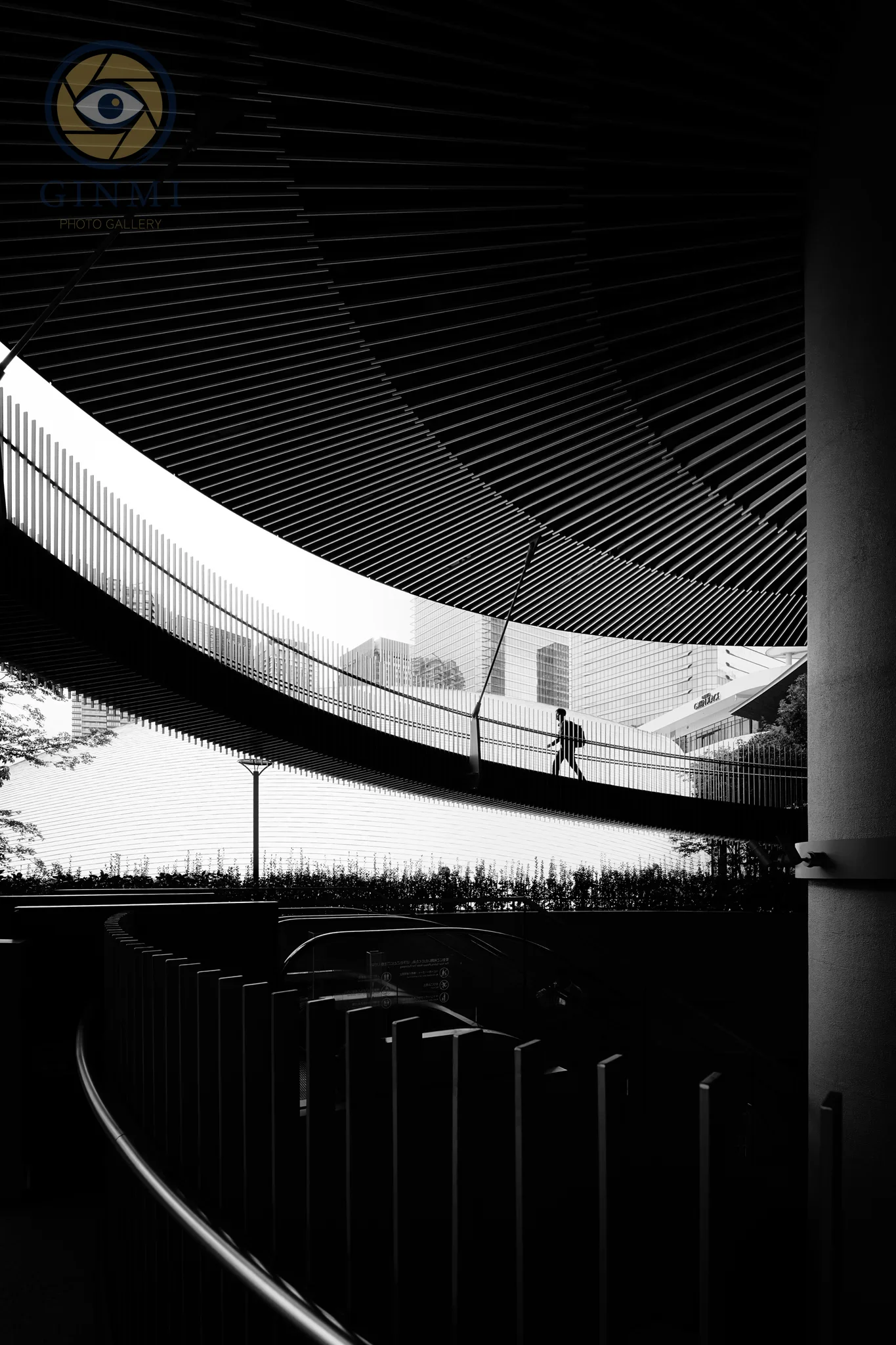 Engraved Curves