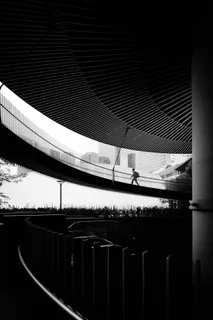 Engraved Curves