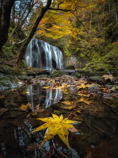 Autumn Leaves Waterfall