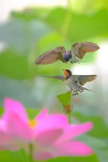 空の授業