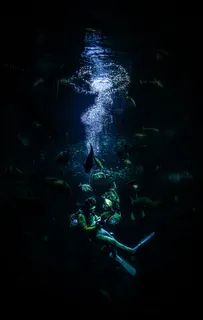 仲間