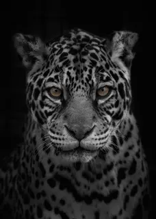 凛として見つめる