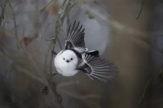 はつらつ！