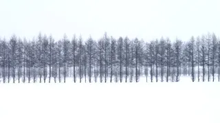 厳寒の朝