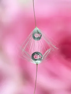 凛