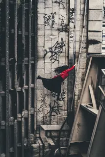 jump