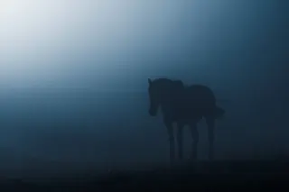 影