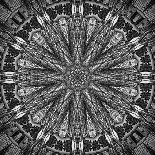 Genesis Cocoon