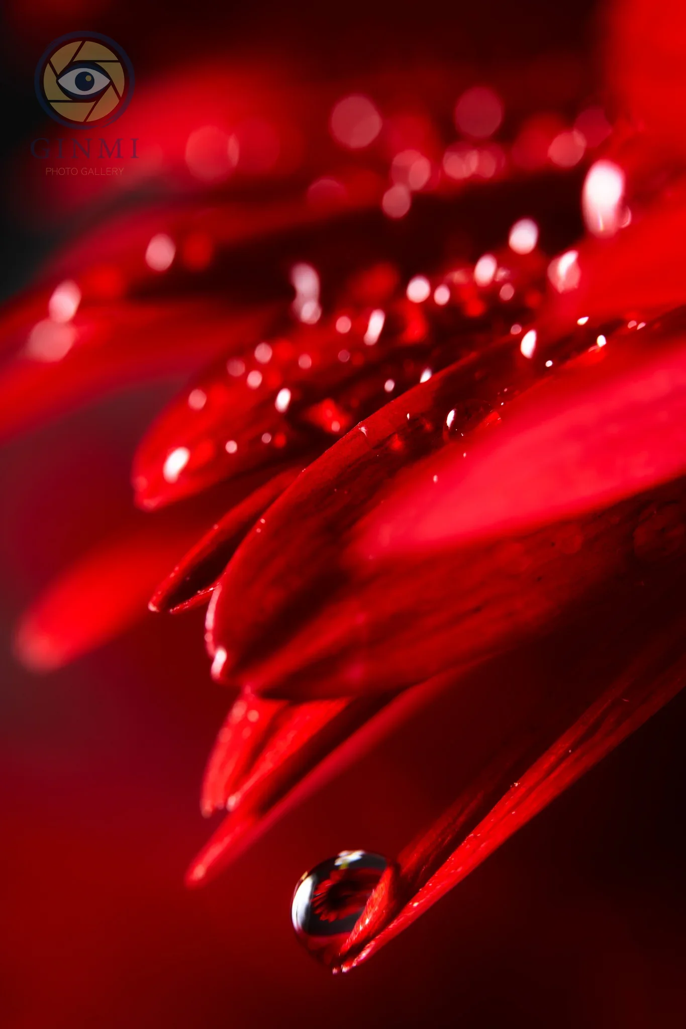 Crimson