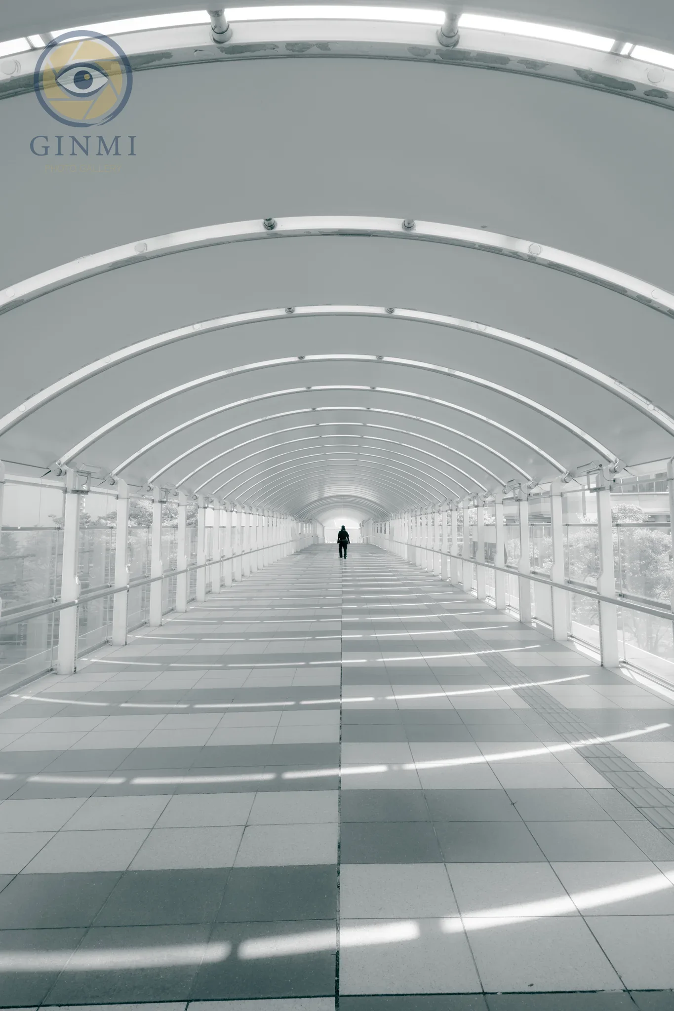 The Way of Light